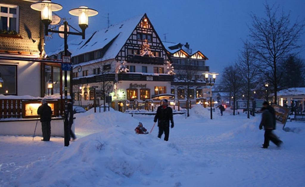 Welcome In - Apartments Am Waltenberg 57-59 Winterberg Dış mekan fotoğraf